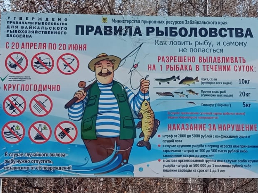 Установлены сроки запрета вылова рыбы в Забайкальском крае